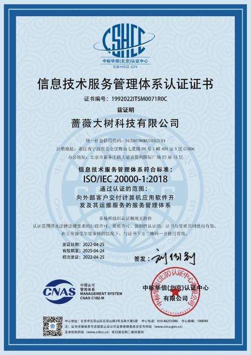 软件开发与技术服务 驱动企业数字化转型的双引擎